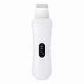 Ultrasonic Skin Scrubber & Face Spatula