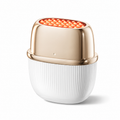 ANLAN 9-in-1 RF & EMS Facial Beauty Device | 24K Gold Skin Tightening & Anti-Ageing Massager