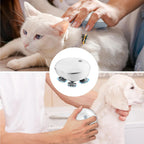 Head Scalp Massage Brush